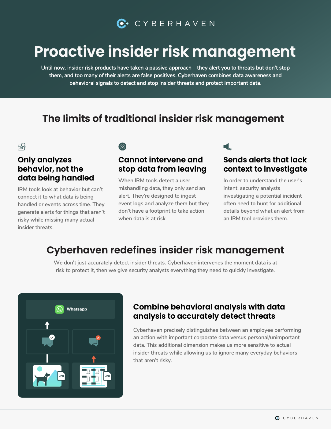 Cyberhaven Datasheet: Insider Risk Management